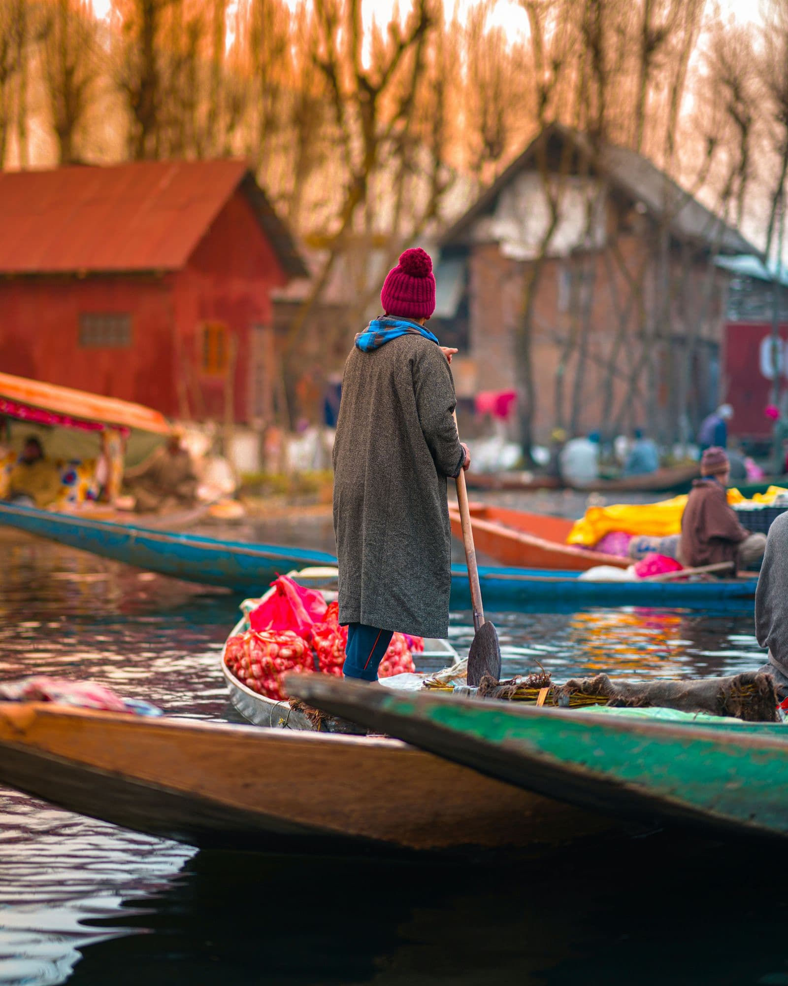 Dal Lake and snow-capped peaks in Kashmir